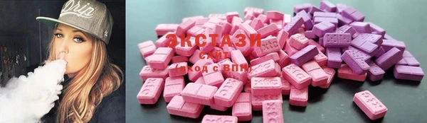 крисы Новодвинск