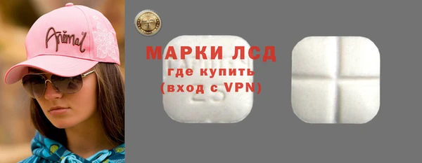 прущие грибы Тобольск