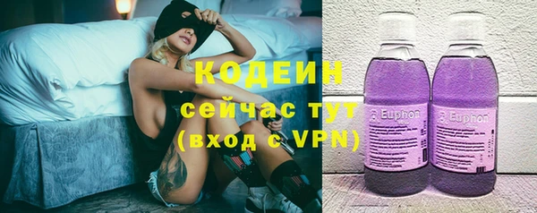 крисы Новодвинск