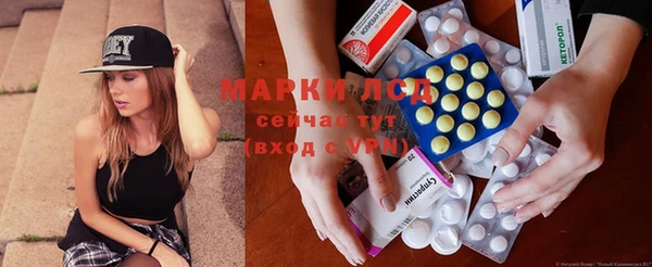 крисы Новодвинск