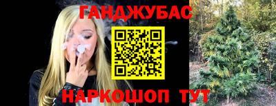 PSILOCYBIN Азнакаево