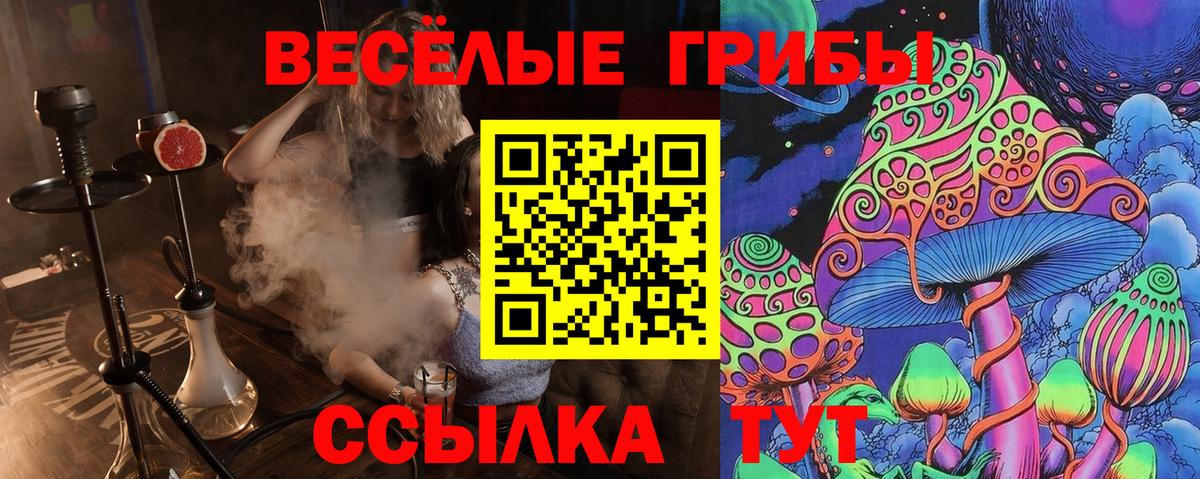 Псилоцибиновые грибы мицелий Лениногорск