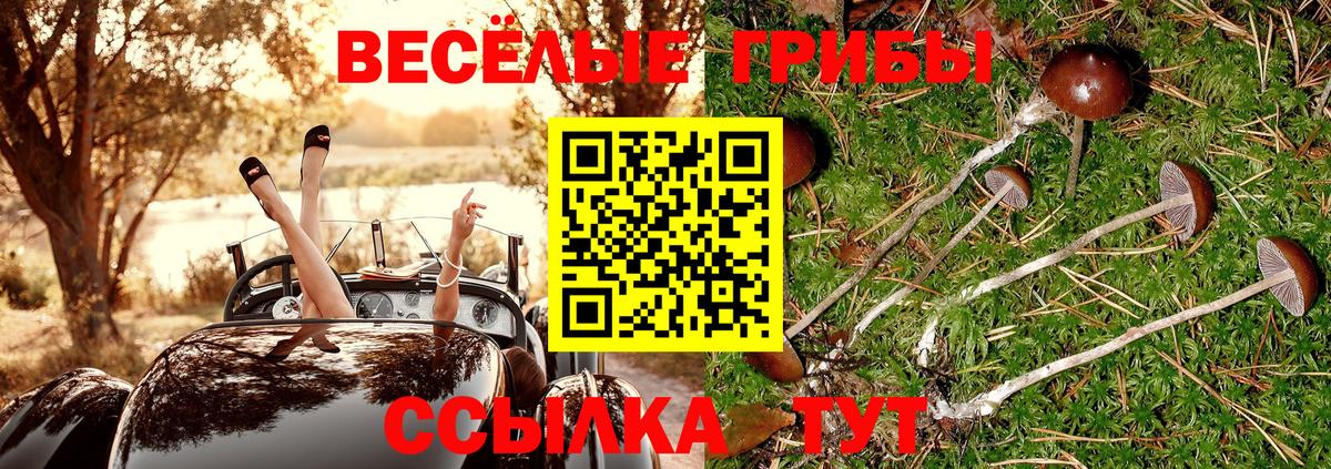 МАРИХУАНА Лениногорск