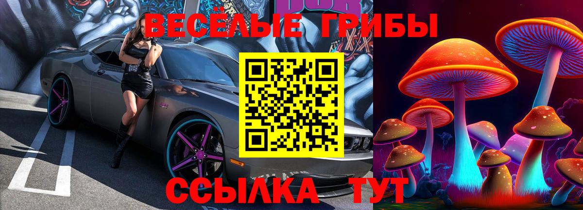 Лениногорск  Псилоцибиновые грибы ЛСД  Вход с VPN 